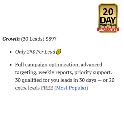 Our Lead Services